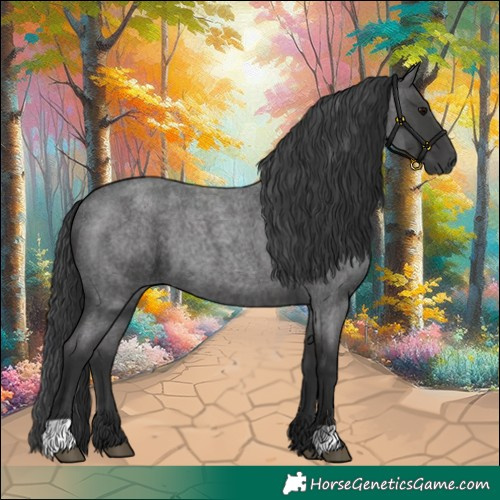 Horse Color:Blue Roan 