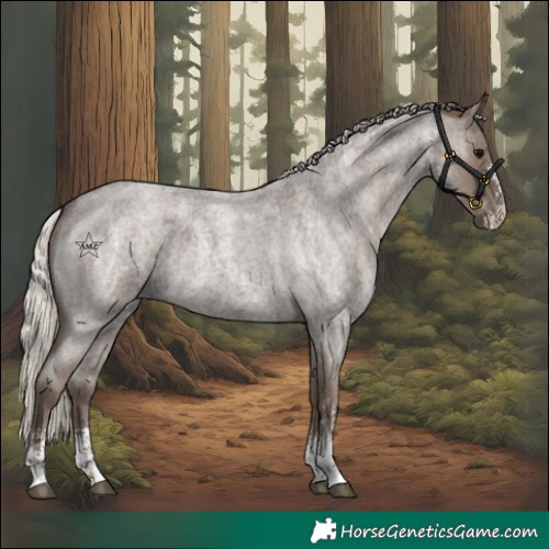 Horse Color:Silver Blue Roan Sabino 