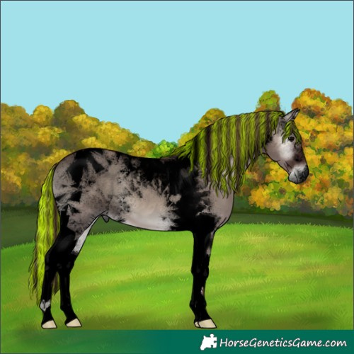 Horse Color:Void Painted Chocolate Grullo Onyx Tobiano 