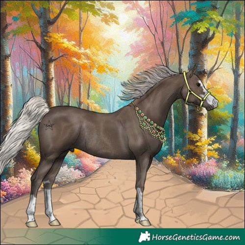 Horse Color:Silver Black Rabicano 