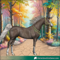 Horse Color:Silver Black Rabicano 