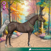 Horse Color:Silver Black 