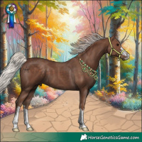 Horse Color:Silver Black