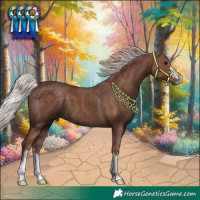 Horse Color:Silver Black