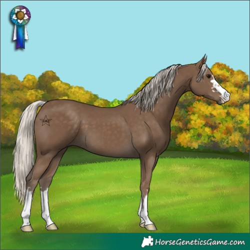 Horse Color:Silver Smoky Black 