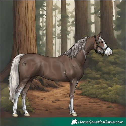 Horse Color:Silver Black Sabino