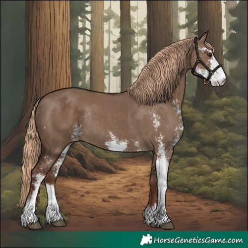 Horse Color:Liver Red Dun Sabino Rabicano