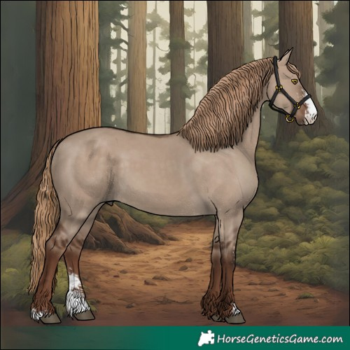 Horse Color:Liver Red Dun Sabino Rabicano 