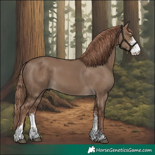 Horse Color:Liver Red Dun Sabino