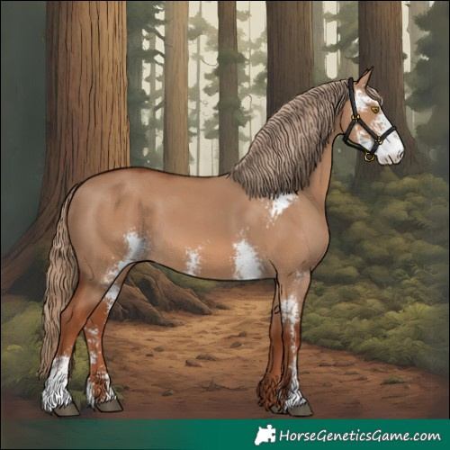 Horse Color:Red Dun Sabino