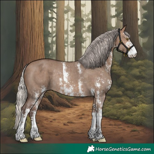 Horse Color:Silver Brown Dun Sabino Rabicano