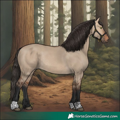 Horse Color:Bay Dun Rabicano 
