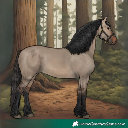 Horse Color:Bay Dun Rabicano 