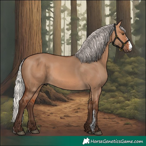 Horse Color:Silver Bay Dun Sabino Rabicano 