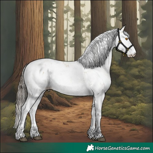 Horse Color:Buckskin Dun Sabino Rabicano 