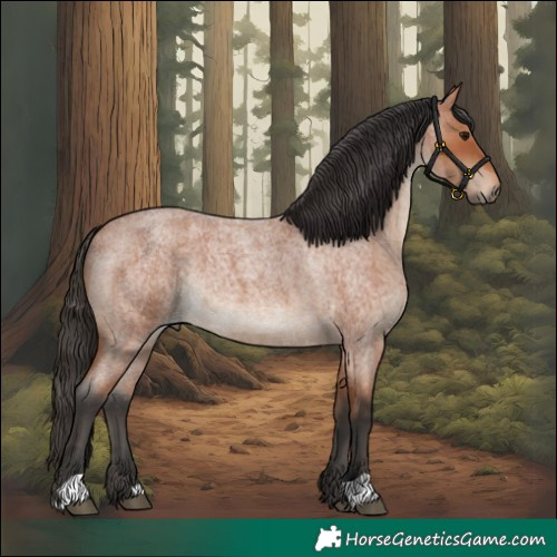 Horse Color:Bay Roan