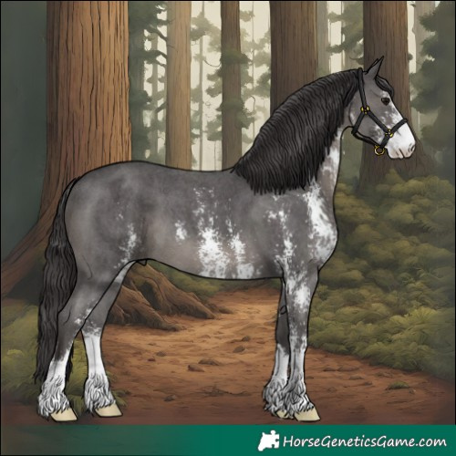 Horse Color:Smoky Black Sabino 