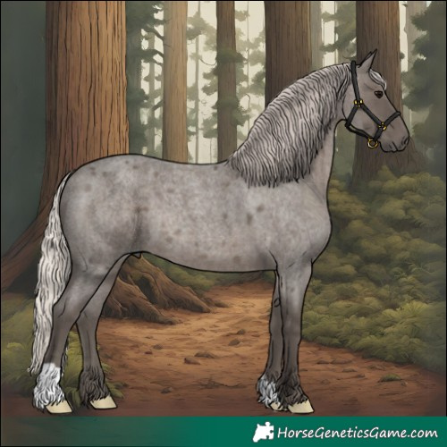 Horse Color:Silver Blue Roan