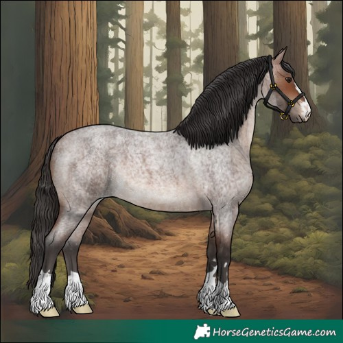 Horse Color:Brown Roan