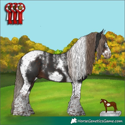 Horse Color:Powder White Liver Chestnut Splash Tobiano Frame