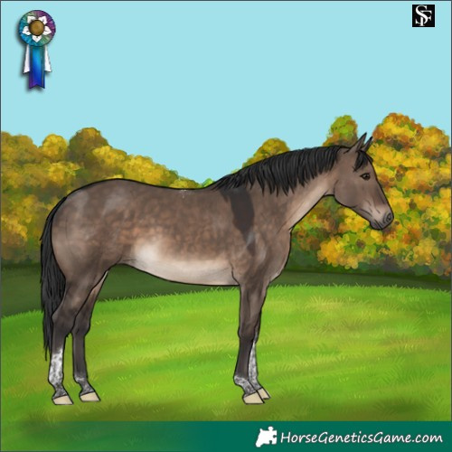 Horse Color:Brown Dun Tobiano 