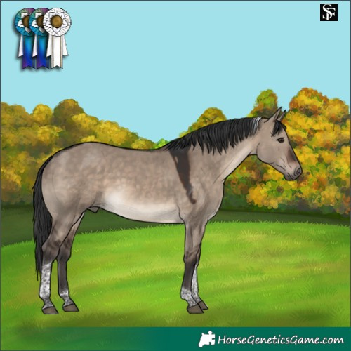 Horse Color:Brown Dun Tobiano 