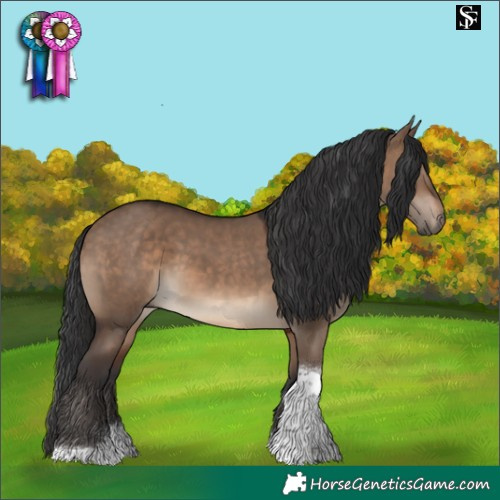 Horse Color:Brown Dun Tobiano 