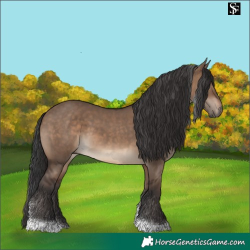 Horse Color:Brown Dun Tobiano