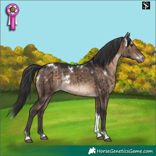 Horse Color:White Spotted Brown Dun Tobiano Rabicano Brindle 
