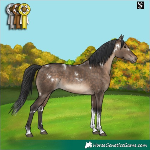 Horse Color:White Spotted Brown Dun Tobiano Rabicano