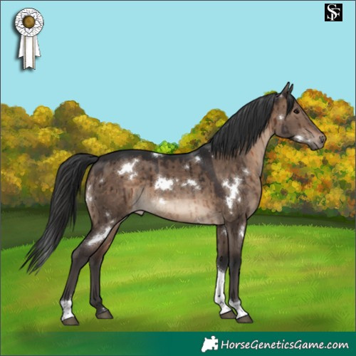 Horse Color:White Spotted Brown Dun Tobiano Rabicano Brindle