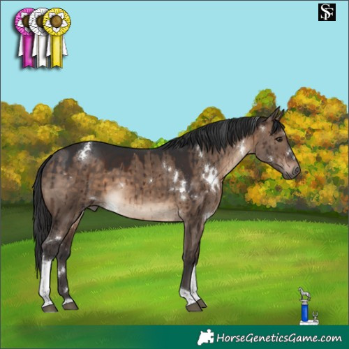Horse Color:White Spotted Brown Dun Tobiano Rabicano Brindle