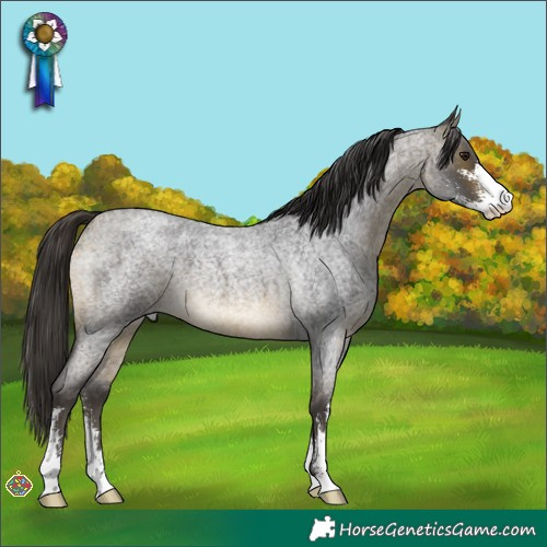 Horse Color:Buckskin Roan Sabino 