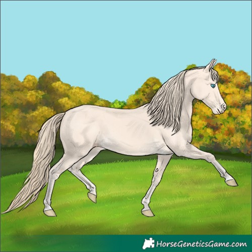 Horse Color:Perlino 
