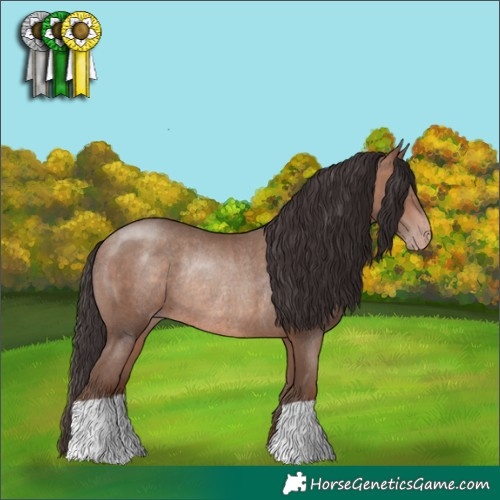 Horse Color:Sable Champagne Rabicano 