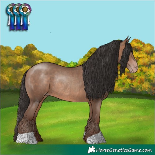 Horse Color:Sable Champagne Rabicano 