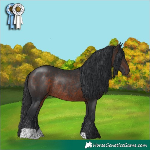 Horse Color:Brown Rabicano