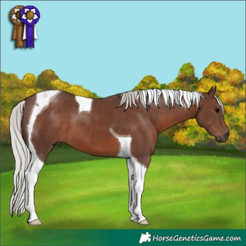 Horse Color:Silver Black Tobiano 
