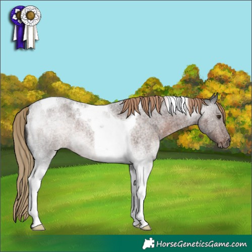 Horse Color:Liver Red Roan Tobiano