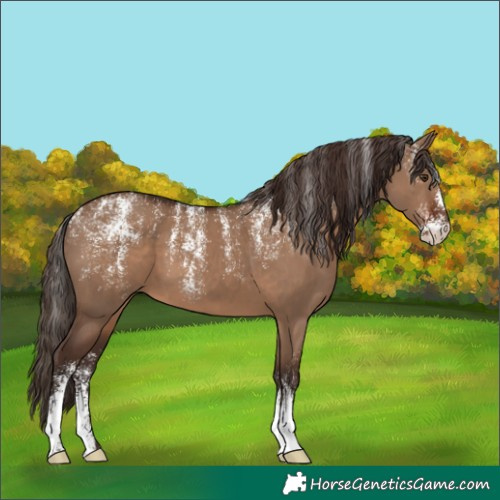 Horse Color:Powder White Liver Red Dun