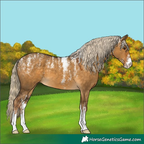 Horse Color:Powder White Chocolate Palomino Dun 