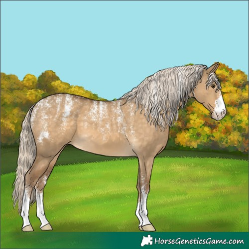 Horse Color:Powder White Chocolate Palomino Dun