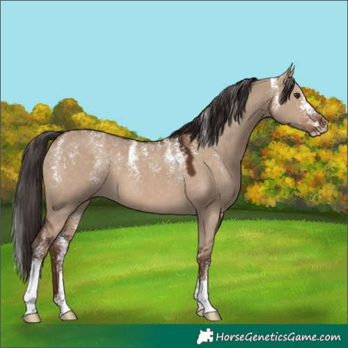 Horse Color:Powder White Liver Red Dun