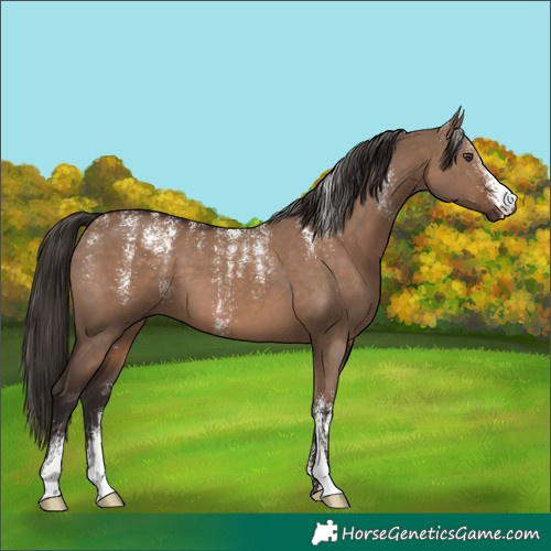 Horse Color:Powder White Liver Red Dun