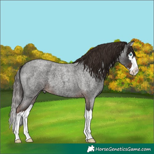 Horse Color:Liver Red Roan Splash 
