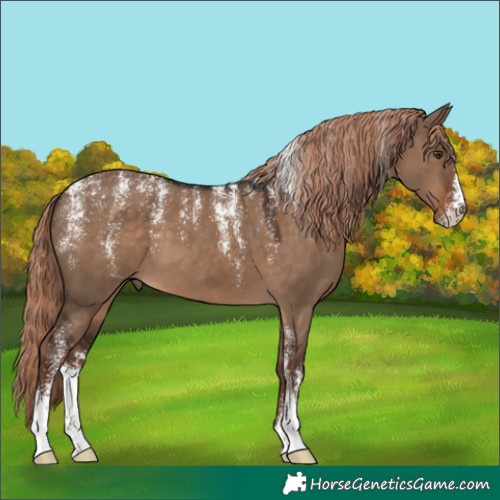 Horse Color:Powder White Liver Red Dun