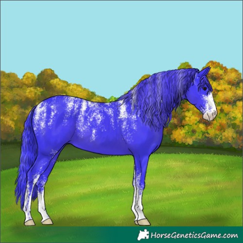 Horse Color:Powder White Watercolor Black