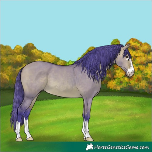 Horse Color:Watercolor Bay Dun 