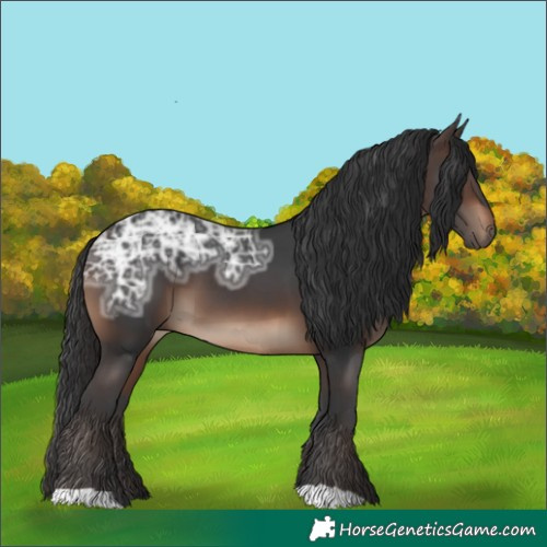 Horse Color:Brown Ice