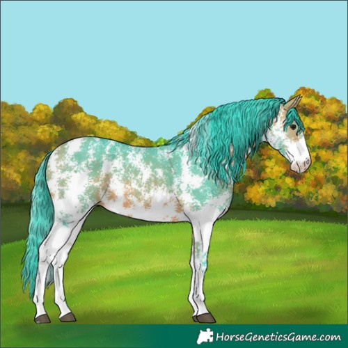 Horse Color:Watercolor Bay Sabino Rabicano 